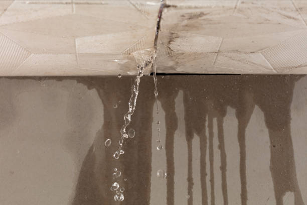 Professional Flood Damage Cleanup technician working in Mineola, TX